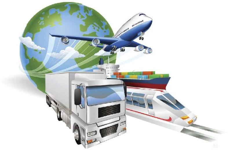 Cargo Consolidator vs Freight Forwarder: Key Differences Explained
